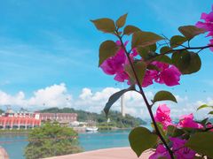 -新加坡海洋生态馆