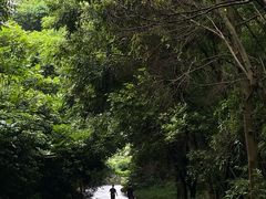 -广州市帽峰山景区