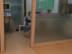 -瑞派宠物医院·内科·软组织·绝育中心(沈阳八纬路分院)