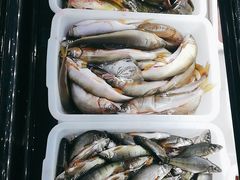 -畲乡一品鱼府土菜馆