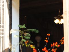-杨家堂村