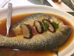 -骏莱海鲜鱼港(五角场店)