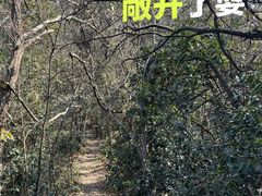 -午潮山国家森林公园