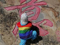 -白草畔自然风景区