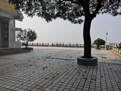 -风云岭森林公园