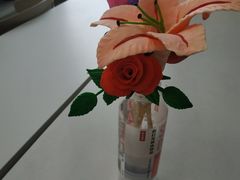 -爱月宝月嫂·育儿嫂(哈尔滨总店)