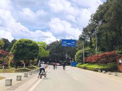 -铁山坪森林公园