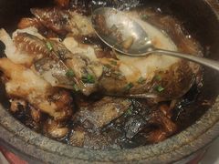 -海派美食·家宴海鲜青岛菜·石锅鲽鱼头(东方城店)
