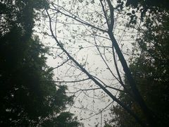 -火炉山森林公园