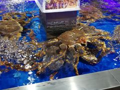 -盒马鲜生(枣园路店)