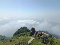 -白草畔自然风景区