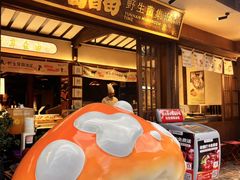 -菌自由丨野生菌火锅特色庭院餐厅(丽江古城店)