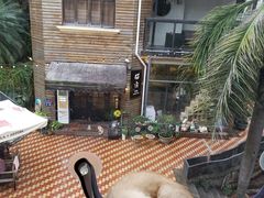-有猫主题·治愈系猫咖(曾厝垵店)