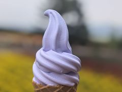 -富田农场
