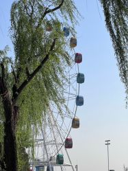 -大美儿童世界(奥林匹克水上公园店)