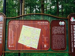 -东平国家森林公园