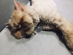 -小时光咖啡馆(开森度假森林店)