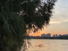 -长白岛森林公园