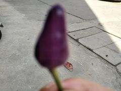 -九里河湿地公园