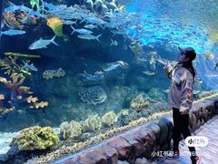 -华夏文旅海洋公园