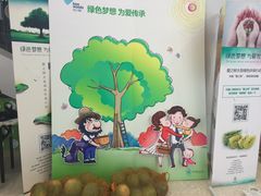 -沈阳HAI乐园