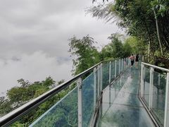 -蜀南竹海景区