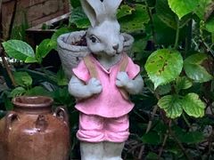 -谷咖啡·鲜花绿植花园餐厅