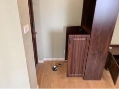 -全屋清新除甲醛 上海