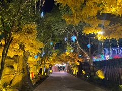 -横店影视城梦幻谷园区
