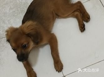一样不少吃。虽然小呆是个串