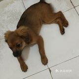 一样不少吃。虽然小呆是个串