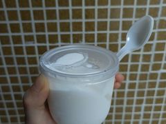 -洪馨椰子