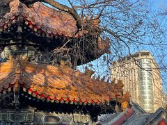 -北京艺术博物馆(万寿寺)