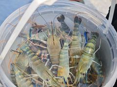 -DGE季风钓虾营地·团建·聚会
