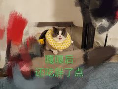 -荔康动物医院(康王北路店)