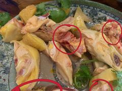 -九斤黄三黄鸡专卖店