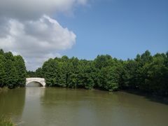 -上海海湾国家森林公园