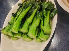 -金龙寨(龙城路店)