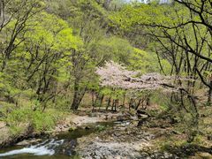 -关门山森林公园