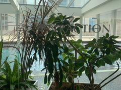 -TRACTION 运动中心(金融街店)