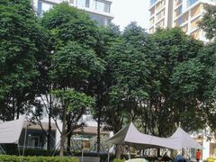 -DECAMERON十日谈(前海嘉里中心店)