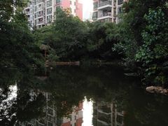 小区环境-世纪同乐绿地世纪城二期