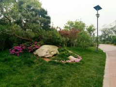 -艾溪湖湿地公园