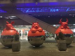 -半山腰·云南菜(侨福芳草地店)