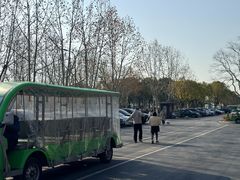 -合肥滨湖国家森林公园