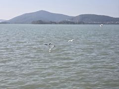 -蠡湖大桥公园