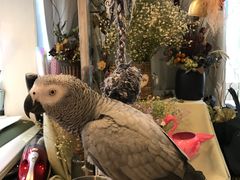 -森野花艺培训·企业团建活动沙龙