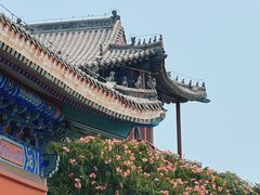 -天津妈祖文化园