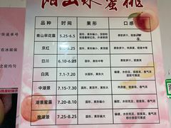 -老袁家蜜桃农场·阳山水蜜桃