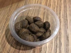 -柴务处·柴犬主题狗咖